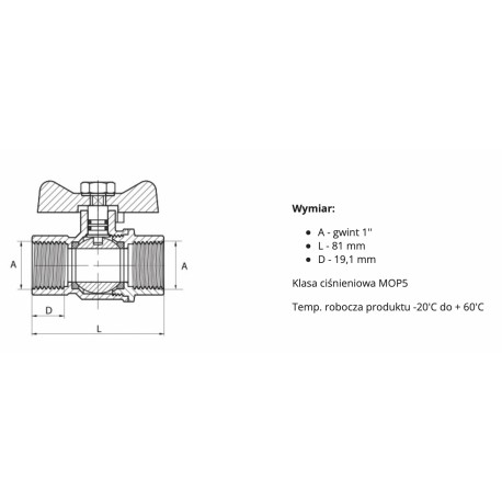 GAZ ZAWÓR KULOWY 1/2 CALA GW/GW MOTYL